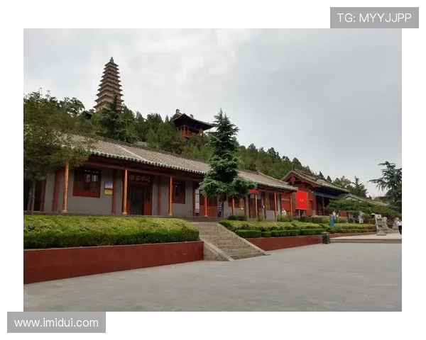 皇家马德里辉煌传承与未来发展全景深度探秘纪实文化传奇故事